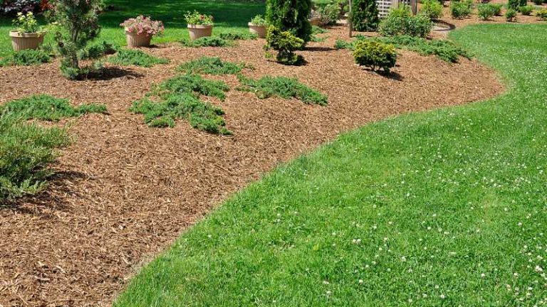 Popular Softscape Landscaping Ideas