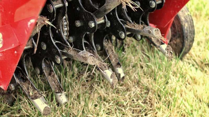 aeration and overseeding