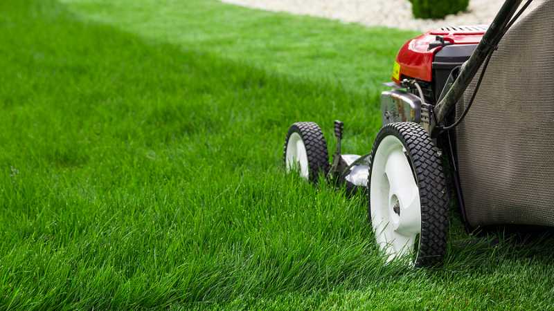 lawn mowing