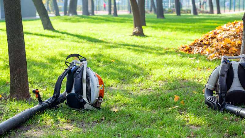 leaf removal